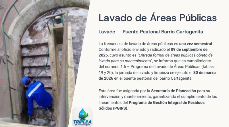 Lavado Puente
